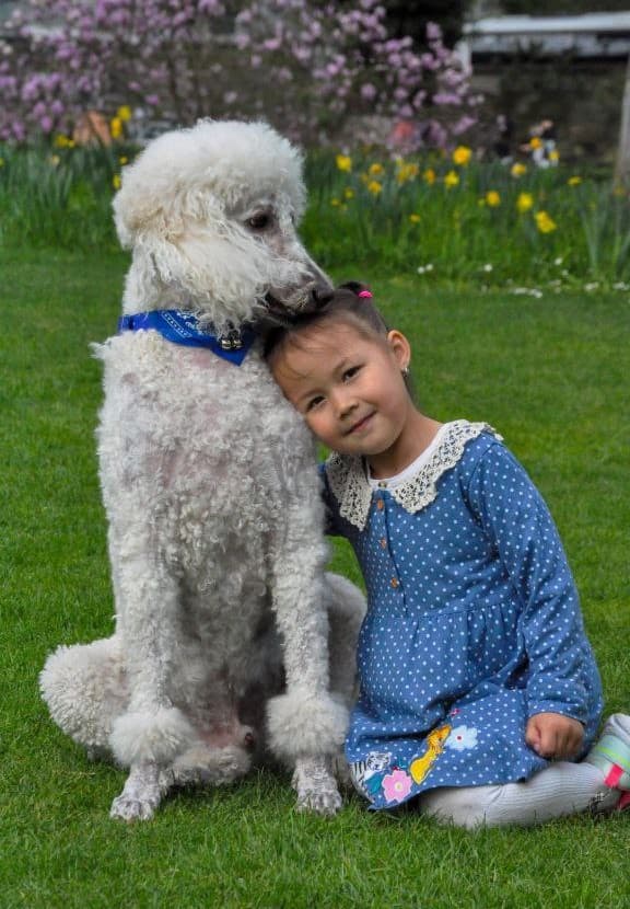 Familienporträt — Kinder